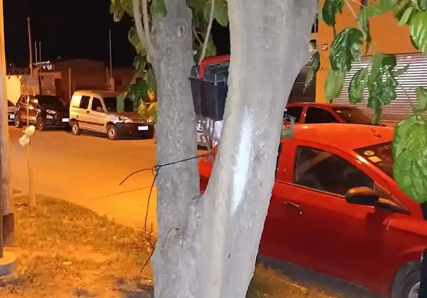 Ciudadano Alerta, Acción Policial y Sospechoso Detenido con Caja de Herramientas Robada Ciudadano Alerta, Acción Policial y Sospechoso Detenido con Caja de Herramientas Robada