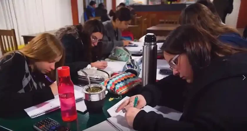 Curso de hidroponía: Más empleo verde Curso de hidroponía: Más empleo verde