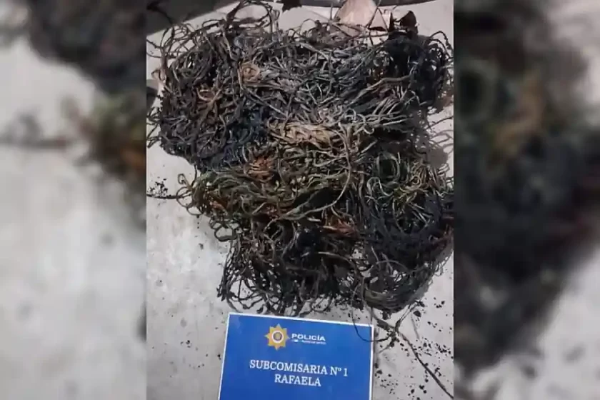Secuestran cobre pero los ladrones escaparon frente a la policía Secuestran cobre pero los ladrones escaparon frente a la policía