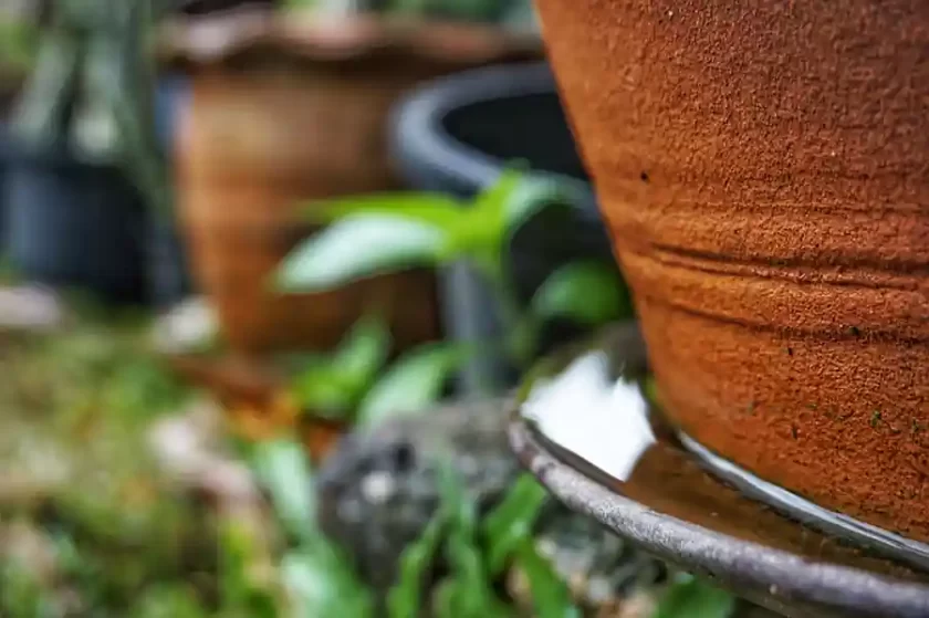 Seguí cuidándote para prevenir al dengue Seguí cuidándote para prevenir al dengue