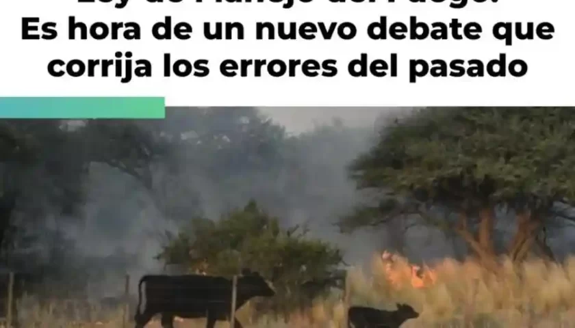 Ley de manejo del fuego: es hora de un nuevo debate que corrija los errores del pasado Ley de manejo del fuego: es hora de un nuevo debate que corrija los errores del pasado