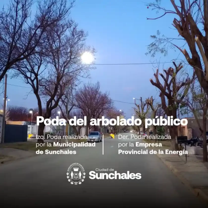 Aclaración sobre las Podas en Sunchales Aclaración sobre las Podas en Sunchales