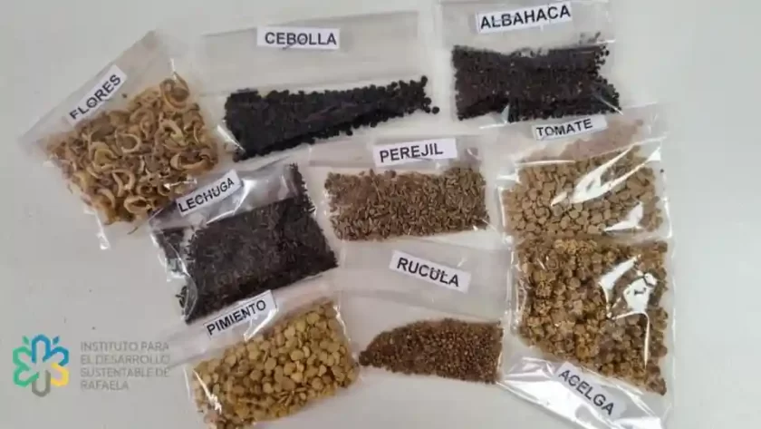 Entrega de semillas para la temporada primavera-verano Entrega de semillas para la temporada primavera-verano