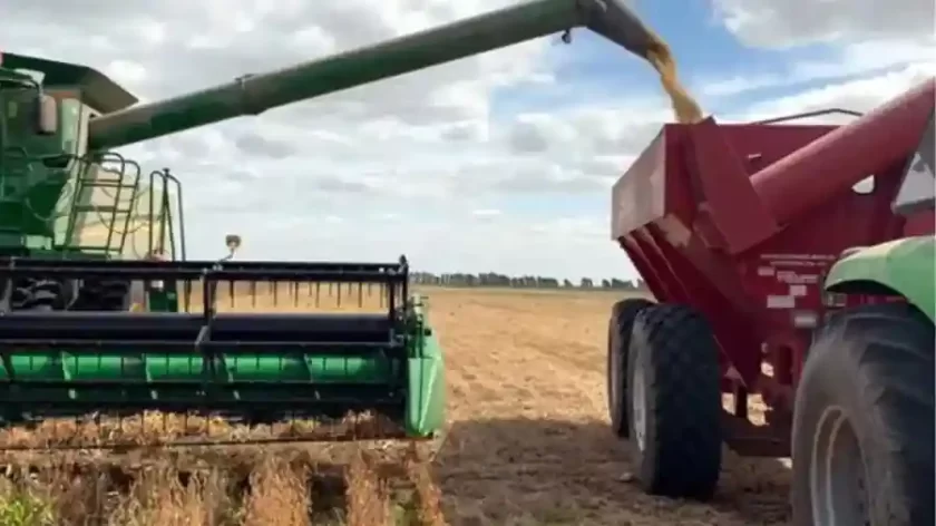 Tras los reclamos del campo, el Gobierno bajó temporalmente las retenciones Tras los reclamos del campo, el Gobierno bajó temporalmente las retenciones