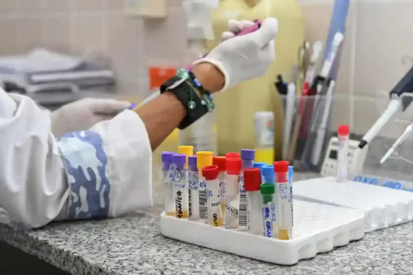Con 50% más de insumos y en red: así trabajan los laboratorios de la Provincia de Santa Fe para la detección del dengue Con 50% más de insumos y en red: así trabajan los laboratorios de la Provincia de Santa Fe para la detección del dengue