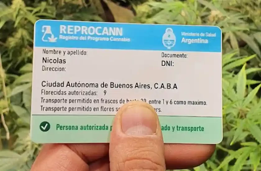 El Gobierno Nacional revisará y dará de baja permisos del REPROCANN El Gobierno Nacional revisará y dará de baja permisos del REPROCANN