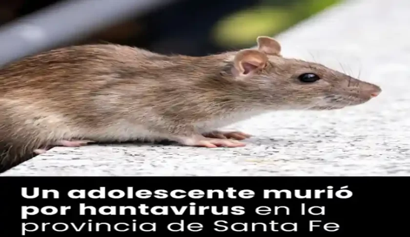 Un adolescente de Recreo murió por hantavirus Un adolescente de Recreo murió por hantavirus