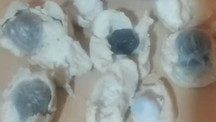 Intentó ingresar marihuana oculta en panes a una comisaría y terminó detenido Intentó ingresar marihuana oculta en panes a una comisaría y terminó detenido