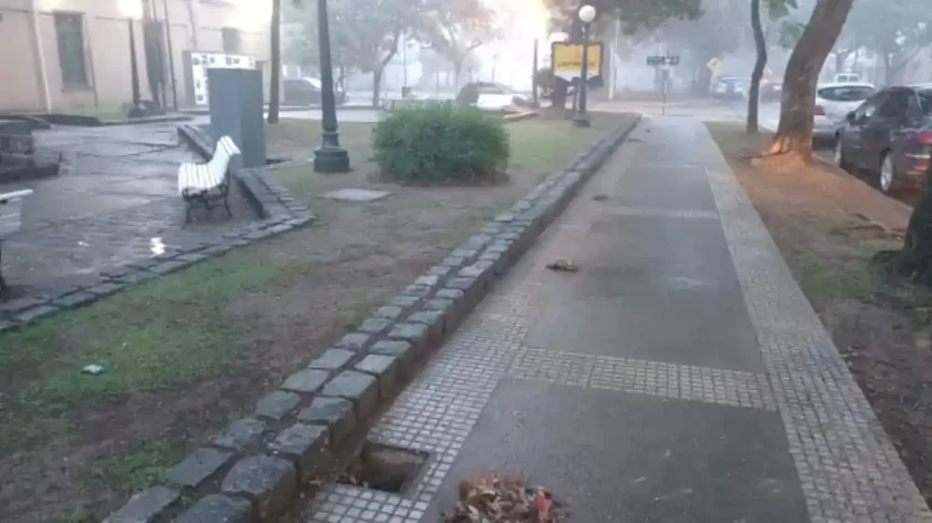 Rafaela refuerza la limpieza en plazas y espacios naturales Rafaela refuerza la limpieza en plazas y espacios naturales