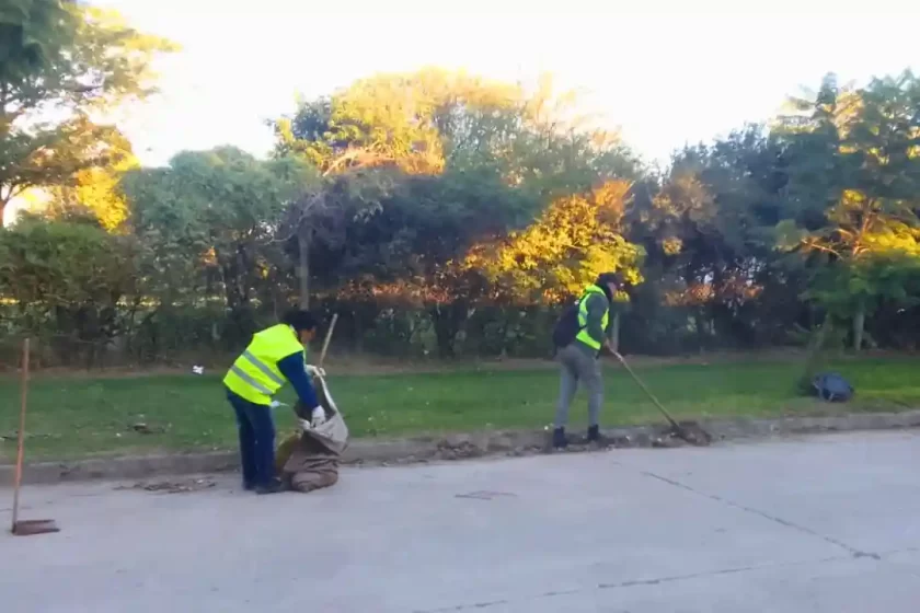 Continúan las tareas de barrido y recolección de hojas en la vía pública Continúan las tareas de barrido y recolección de hojas en la vía pública