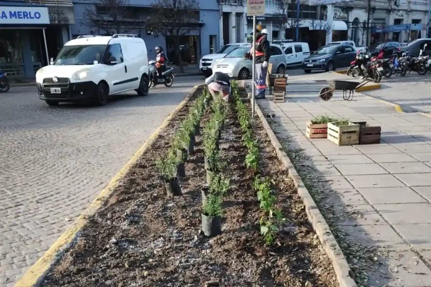 Más naturaleza para el corazón de Rafaela: intervenciones en los canteros céntricos Más naturaleza para el corazón de Rafaela: intervenciones en los canteros céntricos