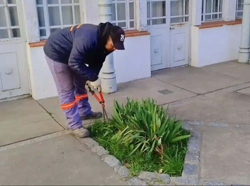 El Museo Histórico se renueva con tareas de jardinería y mantenimiento El Museo Histórico se renueva con tareas de jardinería y mantenimiento