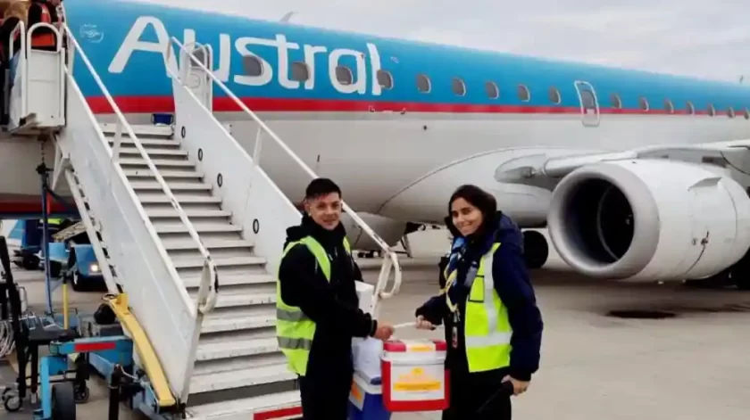 Cudaio: Santa Fe tuvo nueve procesos de donación en una semana Cudaio: Santa Fe tuvo nueve procesos de donación en una semana